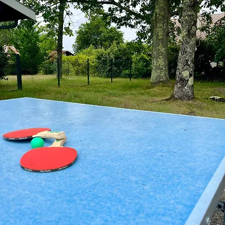别墅 Spacieuse A Sainte-eulalie-en-born, Terrasse, Piscine Privee *